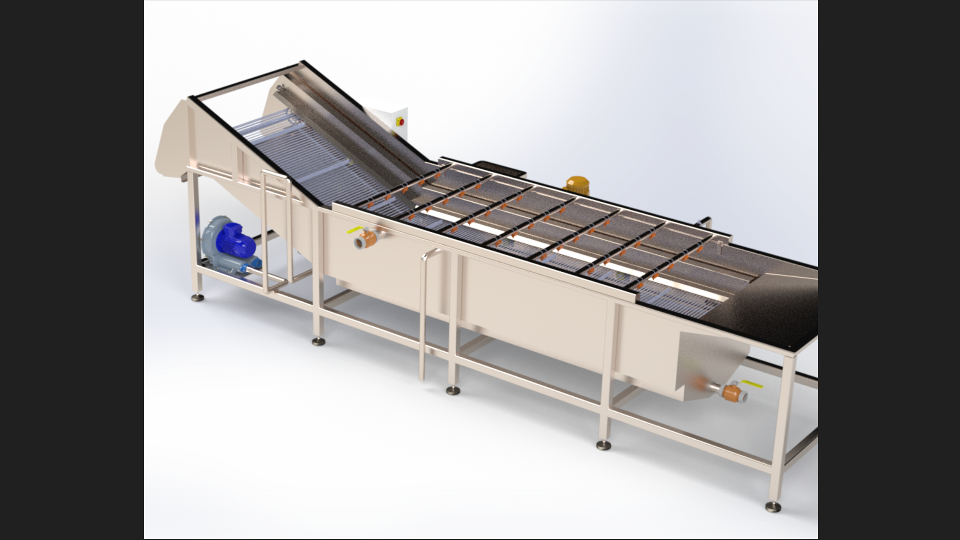食堂全自动蔬菜水果苹果清洗机洗菜机